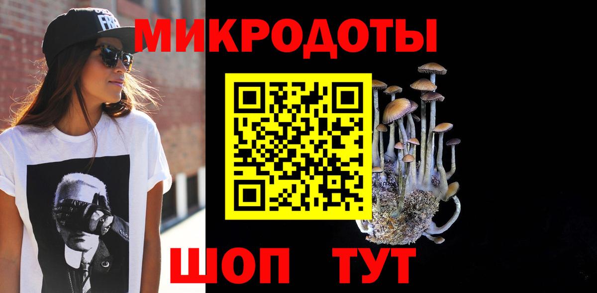Галлюциногенные грибы Cubensis Кыштым